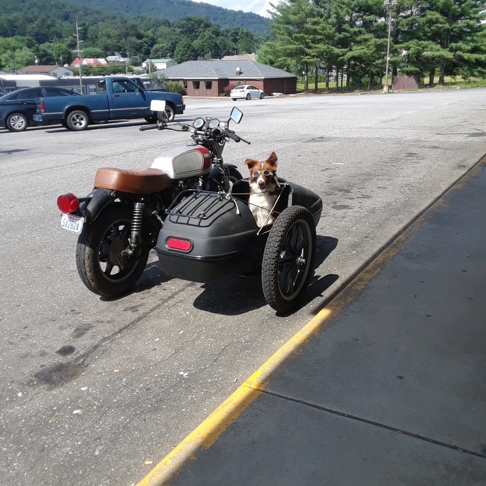 Meet your Posher, Gladys